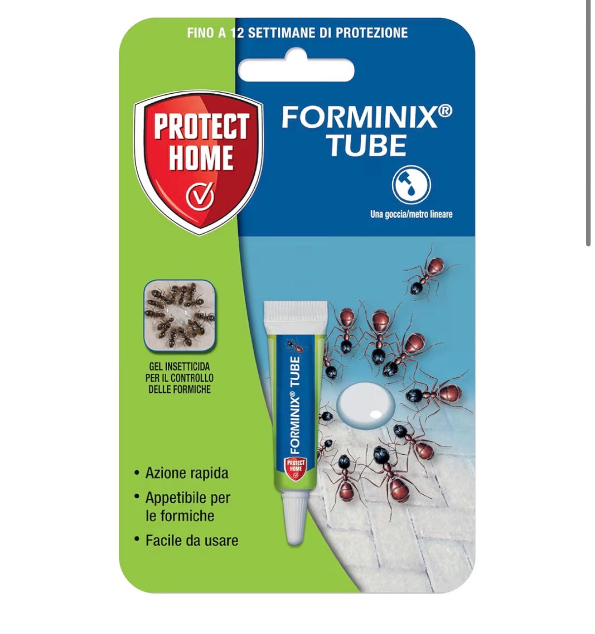 Veleno per Formiche in Gel Pronto Uso, PROTECT HOME Forminix Tubetto. Efficace, Elimina Il Nido in Breve Tempo. Ideale per Ambienti Interni ed Esterni. 4g
