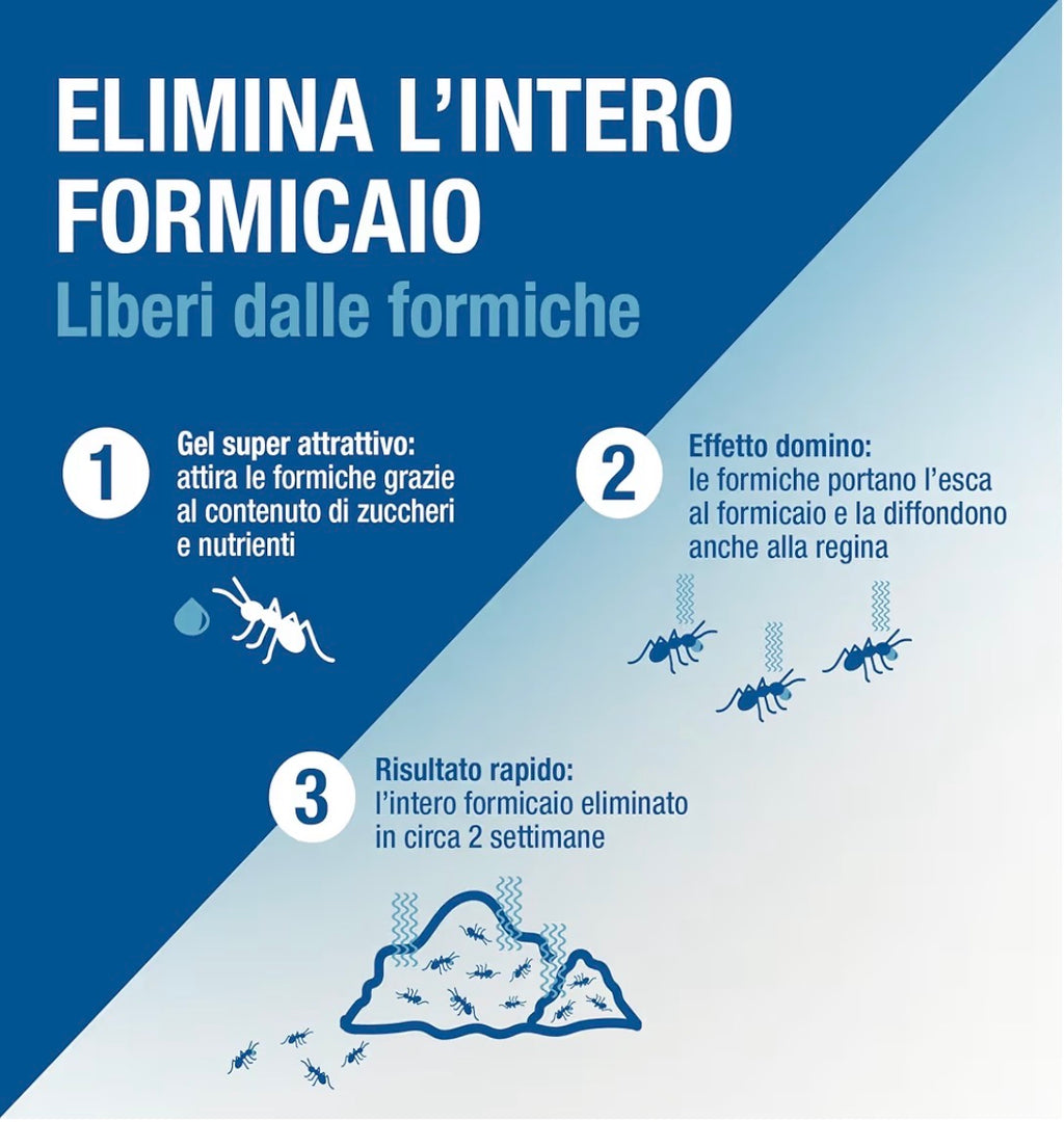 Veleno per Formiche in Gel Pronto Uso, PROTECT HOME Forminix Tubetto. Efficace, Elimina Il Nido in Breve Tempo. Ideale per Ambienti Interni ed Esterni. 4g