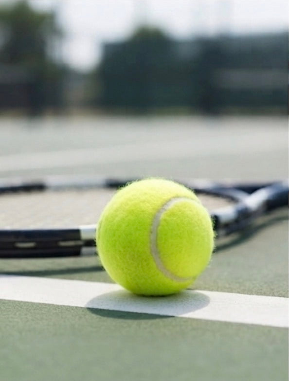 Palline da Tennis, Palla Allenamento Tennis, Alto Rimbalzo Pallina, per Esercizi di Allenamento per Gare di Club scolastici Gioca con Gatti Cani Sport all'Aria Aperta (6)