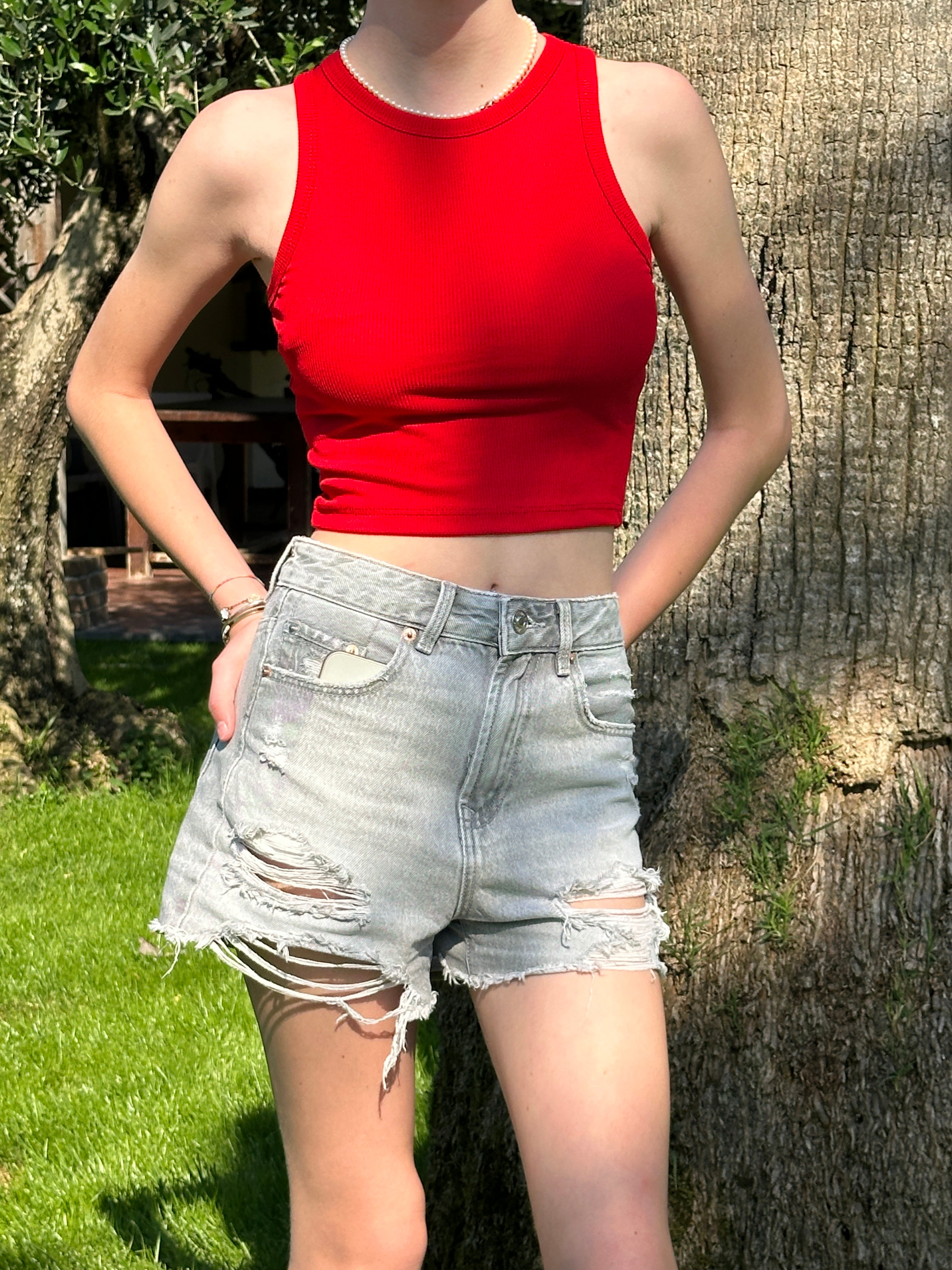 Top Giromanica